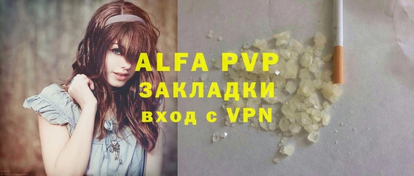 СК Белокуриха