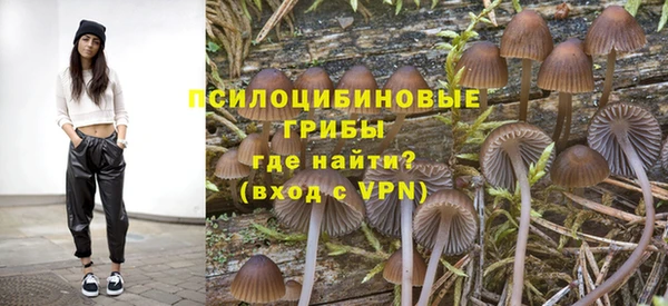 СК Белокуриха