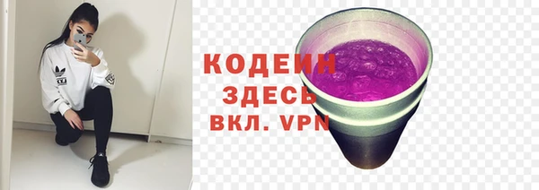 СК Белокуриха