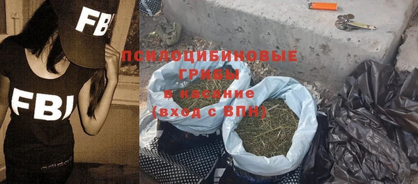 молекула духа Богородицк