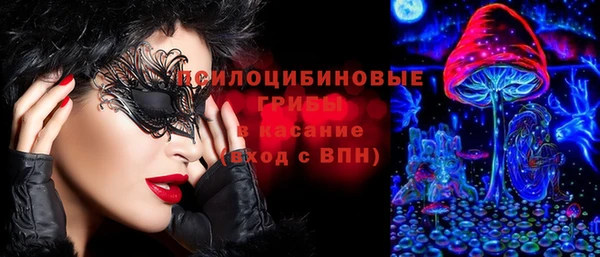 прущие грибы Россошь