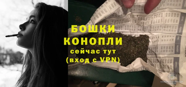 ГАЛЛЮЦИНОГЕННЫЕ ГРИБЫ Богданович