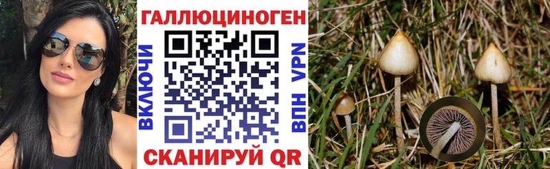 наркота  Княгинино  Псилоцибиновые грибы Magic Shrooms 